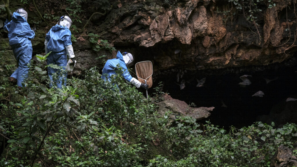 What to Know About the Marburg Virus Disease