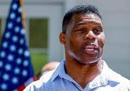Herschel Walker criticizes new health and climate laws. Not enough trees?