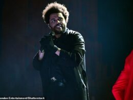 The Weeknd's Voice Failure Forces Him to Abandon Los Angeles Show