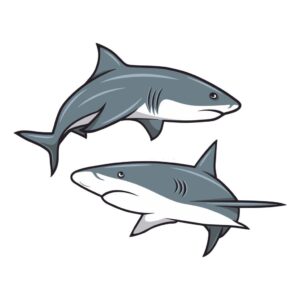99 Shark Tattoos