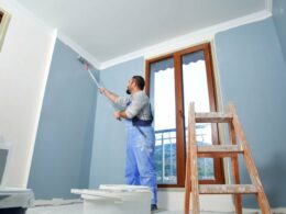 Know The Different Types Of Painting Services In Minneapolis