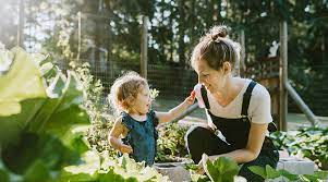 Benefits of Gardening on Health and Well-Being