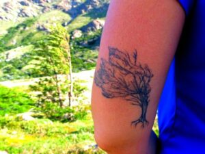 Wildflower Tattoo Images