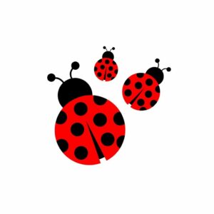 99 Best Ladybug Tattoo Ideas Perfect Manifestation of Luck, Good Fortune, and Positivity
