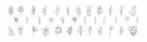 Which Flowers Can be Tattooed as Wildflower Tattoo Design?