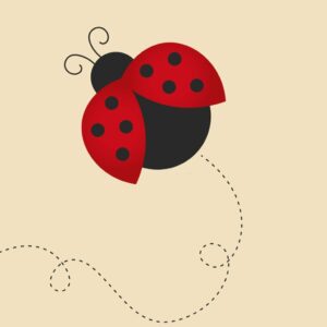 Ladybugs tattoos - Brief Introduction