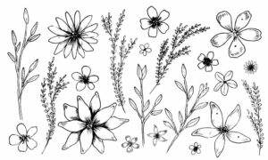 What Colors can be Used for Wildflower Tattoos?