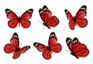 Mini-sized Red Butterfly Tattoo Design