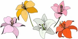 How can You Make Your Wildflower Tattoo?
