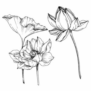 Lilies tattoos