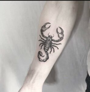 Scorpion Tattoos Images Over Arm