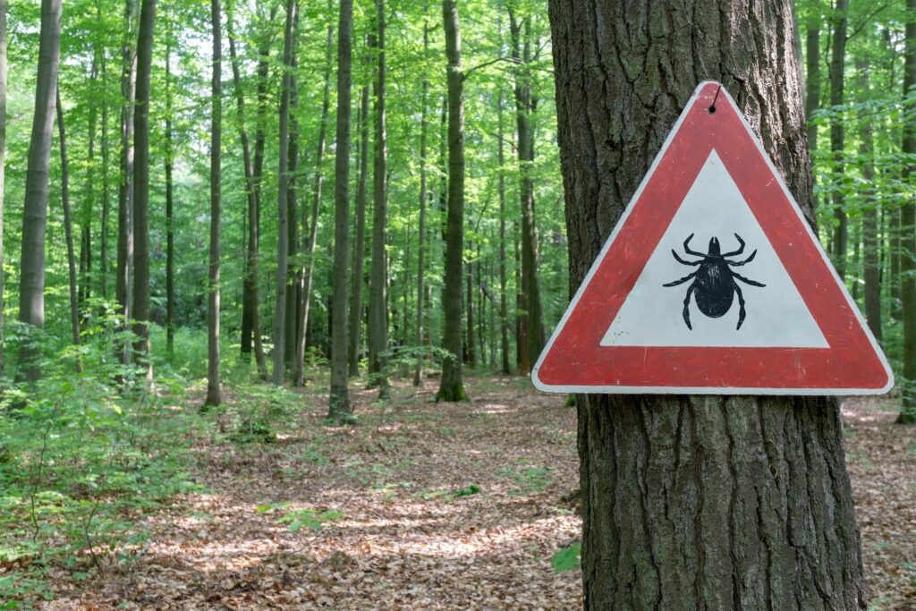Babesiosis, a Tick-Borne infection, Is Spreading within the US—right here’s What professionals want You to recognize