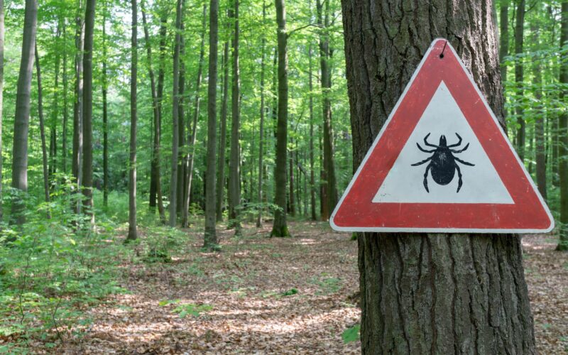 Babesiosis, a Tick-Borne infection, Is Spreading within the US—right here’s What professionals want You to recognize