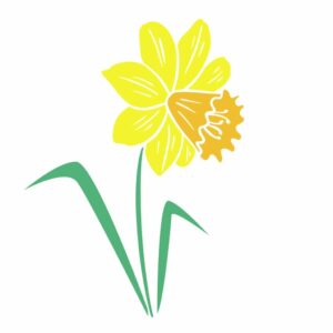 Daffodil Tattoos - A Symbol of Good Fortune 