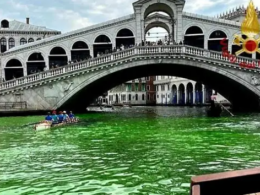 Venice's Grand Canal's bright green material has been discovered.