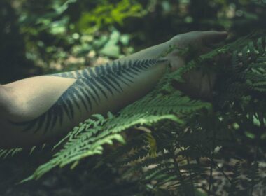 99 Enchanting Forest Tattoo Design Ideas Symbolism & Their Meanings
