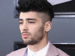 Zayn gives a rare interview and claims the members of One Direction are weary of each other.